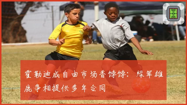 霍勒迪成自由市场香饽饽:绿军雄鹿争相提供多年合同