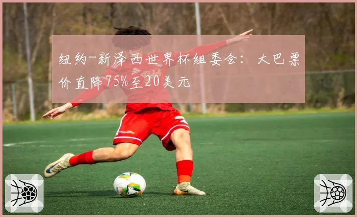 纽约-新泽西世界杯组委会：大巴票价直降75%至20美元