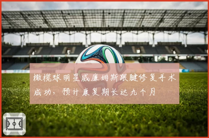 橄榄球明星威廉姆斯跟腱修复手术成功，预计康复期长达九个月