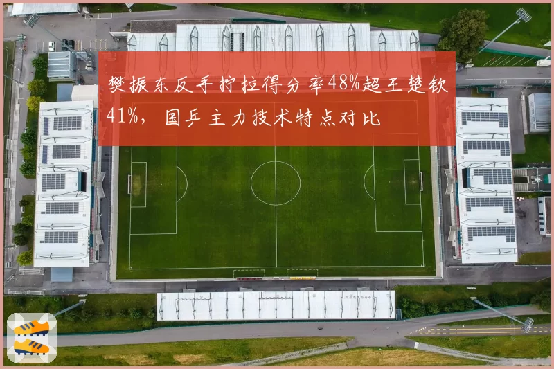 樊振东反手拧拉得分率48%超王楚钦41%,国乒主力技术特点对比